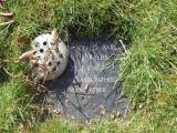 image of grave number 299162